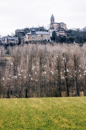 Beauregard