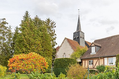 Le Giennois à vélo - Étangs et forêts