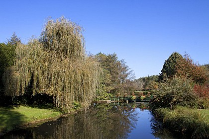 Le Giennois à vélo - Longeons la Quiaulne