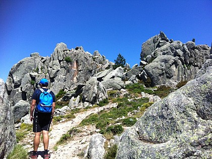 Le sentier A Punta di a Vacca Morta