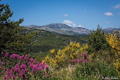 Circuit vélo : N°5 - Saint Paul en Forêt