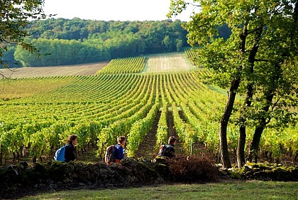 Viré, la montagne et son vignoble