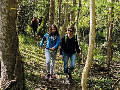 Ouillon : chemin des bergers