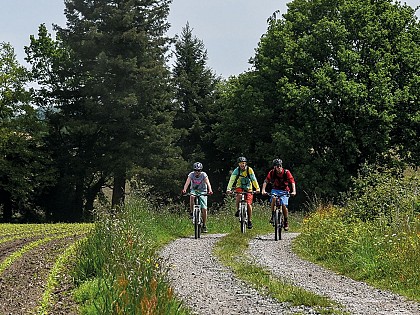 Ouillon : chemin des bergers à VTT