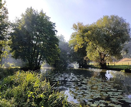 LOUE / Le circuit de la Vègre