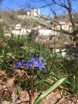 Partons à la découverte de notre biodiversité !