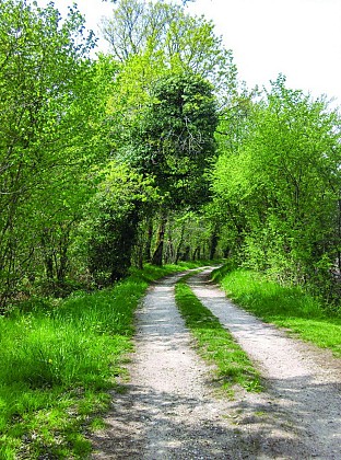 Sur les pas solognots de Pasteur