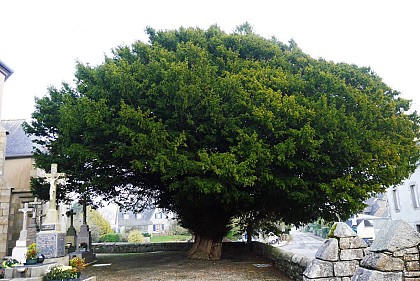 Boucle de l'If - OFFICIEL