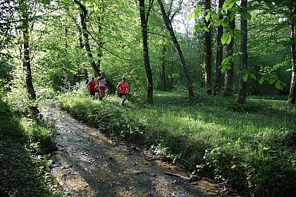 Circuit trail n°1 - Entre ciel et terre