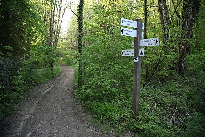 Circuit trail n°2 - Entre ciel et terre