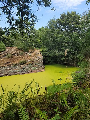 Trail between lake and blue slate - Nozay - Treffieux - Abbaretz