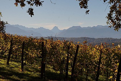 De Pau aux coteaux de Jurançon à vélo électrique - Boucle