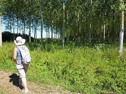 Le sentier du Grand Pâquier