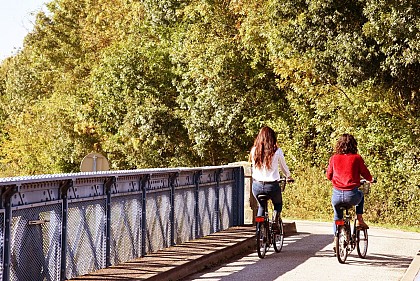 Entre vignes et Saône