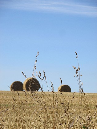 Circuit équestre N°6 Locmaria-Plouzané 22km
