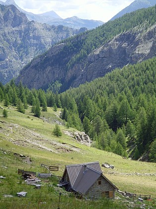 Pâturage de Rougnouse