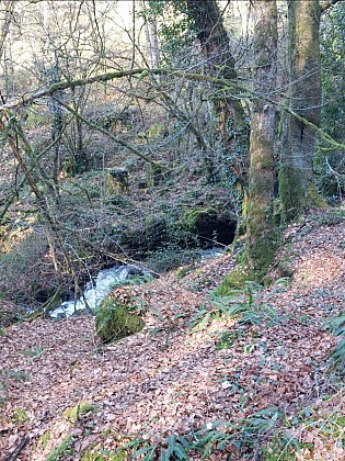 Moulin de Beaubiat - variante - balisage rouge