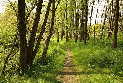 Fléron : Promenade du Fond du Pucet