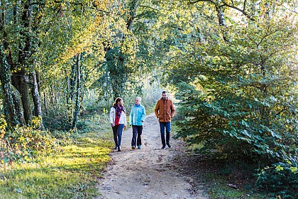 Circuit des voies romaines - Bois d'Avaugour