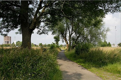 Magnée (Fléron) : Promenade La route du Fruit