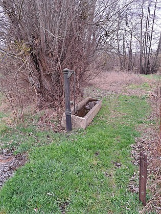 Wiesme 3(rectangle bleu)