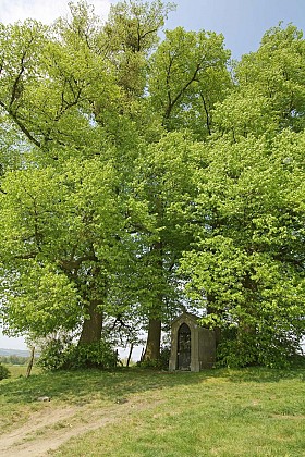 Romsée (Fléron) : promenade Le Pireux