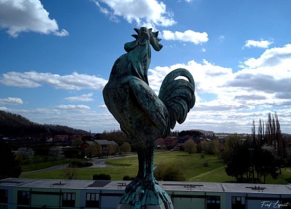 Découverte de la cité du Coq de Jemappes