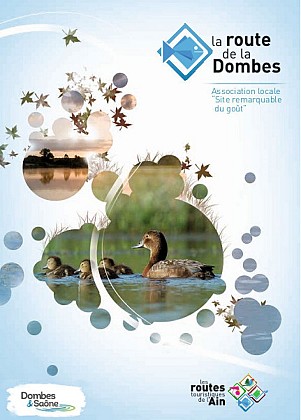 Circuit sud - la route de la Dombes