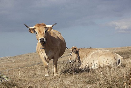 La Devèze Grande