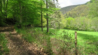 Le chemin du Bouchet