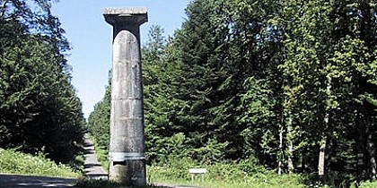 Chêne a vierge et chien pendu