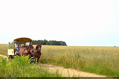 Le parcours Servais entre Ardenne et Gaume