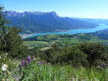 BALADE FAMILLE - JOURNEE / PETIT PUY - MONT GUILLAUME