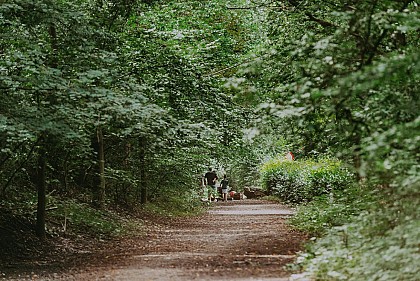 Le circuit social, de Fleurus à Roux