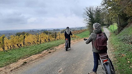 Château Viella - Gros Manseng