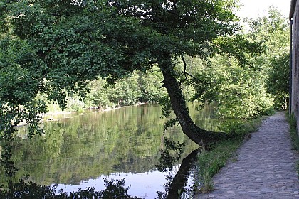 Espace Ceven'Trail N°16