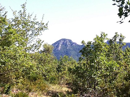 Espace Ceven'Trail N°18