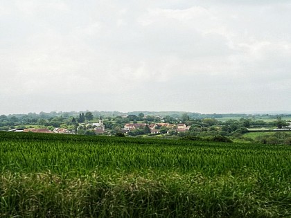 Circuit pédestre n°38 "paysages de bocage"