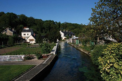 Le petit bois de Saint-Laurent