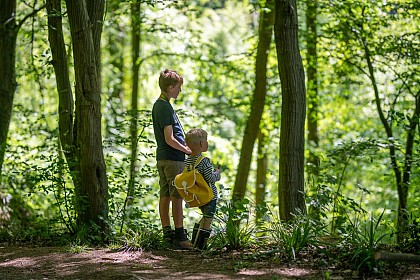 HAUT-BOIS: BALADE DE HAUT-BOIS