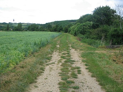 Le chemin du loup - PR3 Corbarieu