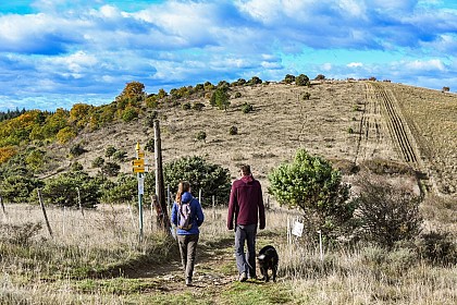 Hiking panorama