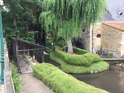 Clermont-Créans - Parmi bois, chevreuils et blaireaux