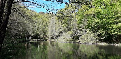 Sentier de la Demoiselle