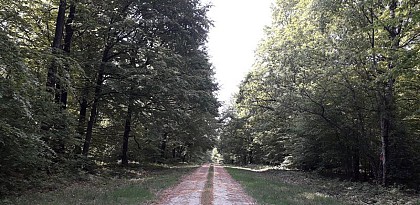 Sentier des 2 étangs