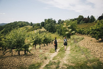 De Saint Saturnin à Notre Dame - PR2 Lamothe-Capdeville