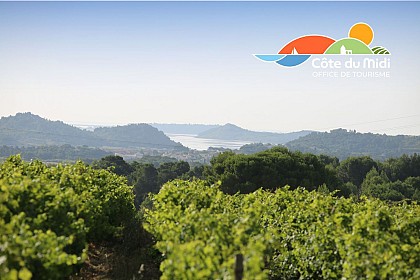 Route des Vins des Corbières