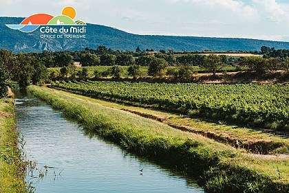 Route des Vins du Minervois