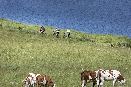 VTT' - La Grande Traversée du Jura