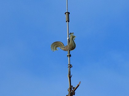 Échouboulains : Entre Champs et Forêts